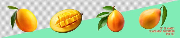 PSD mangos psd premium isolados