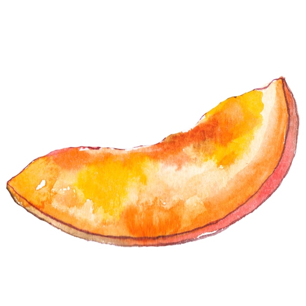 PSD mangue peinte à l'aquarelle éléments de conception d'aliments frais dessinés à la main isolés sur fond blanc