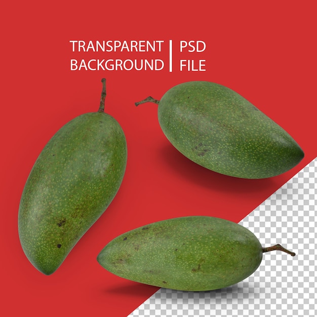 Mangue Verte PNG