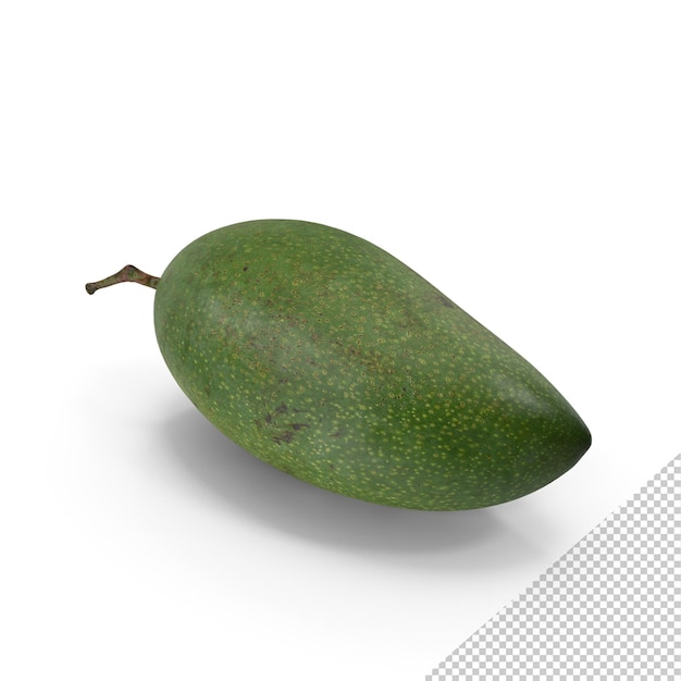 Mangue Verte PNG