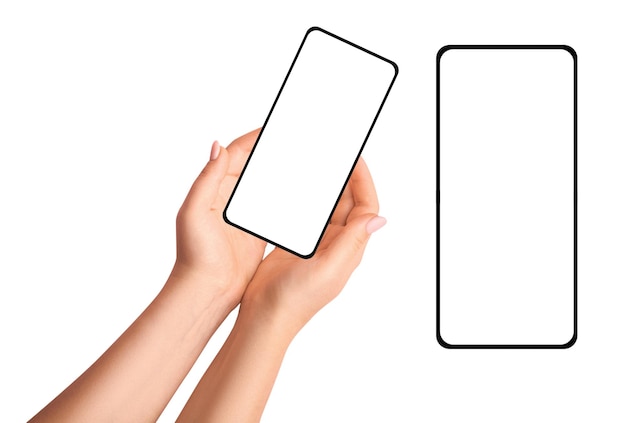 Mani femminili che tengono il telefono su uno sfondo vuoto