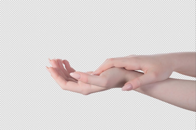 Mani femminili isolate pose delle mani psd