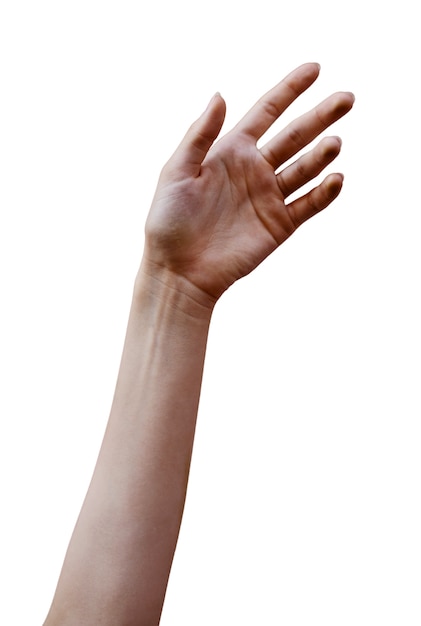 Mani sensibili isolate