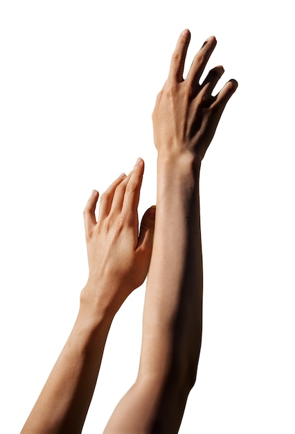 Mani sensibili isolate