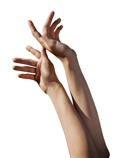 Mani sensibili isolate