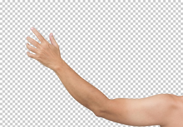 Mann Hand isoliert