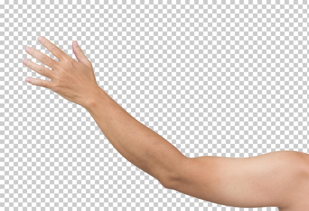 Mann Hand isoliert