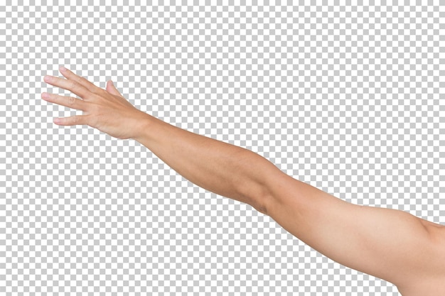 Mannhand isoliert