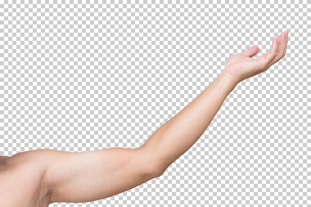 Mannhand isoliert