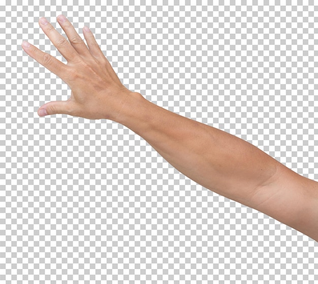 Mannhand isoliert