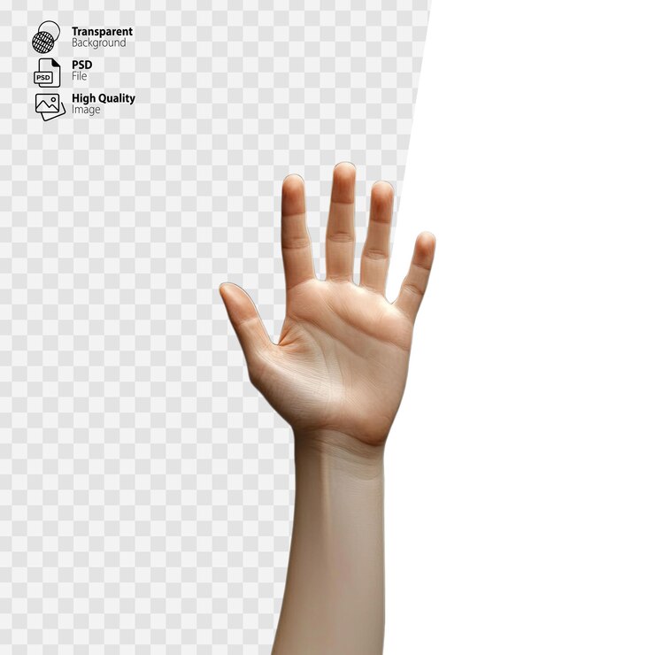 PSD mano abierta con los dedos extendidos hacia arriba aislada sobre un fondo transparente para un gesto o señal