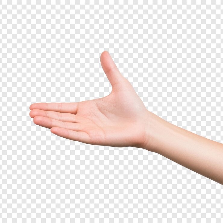 PSD la mano abierta ofreciendo o gestando el brazo está recto y extendido isolado en blanco