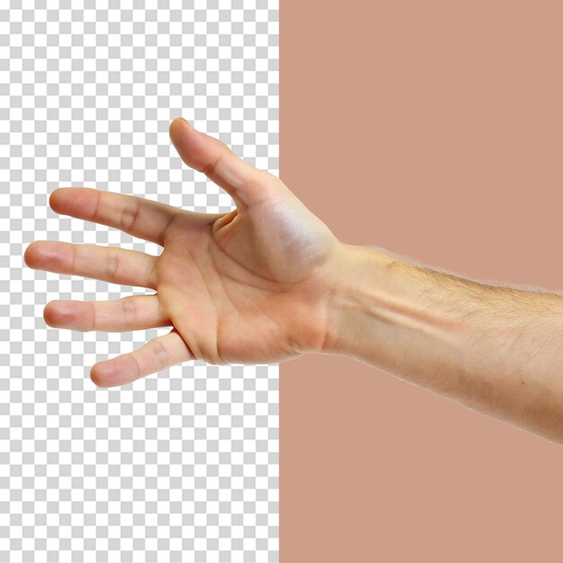 Una mano alcanzando para tocar algo aislado en un fondo transparente