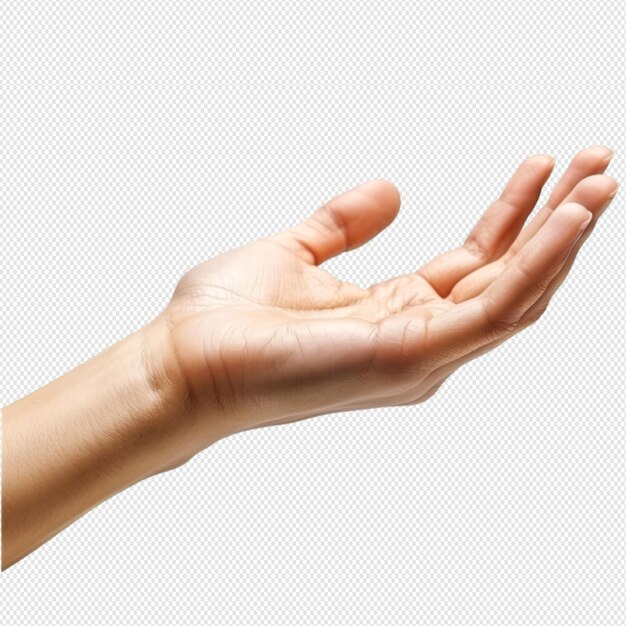 La mano apunta sobre un fondo blanco