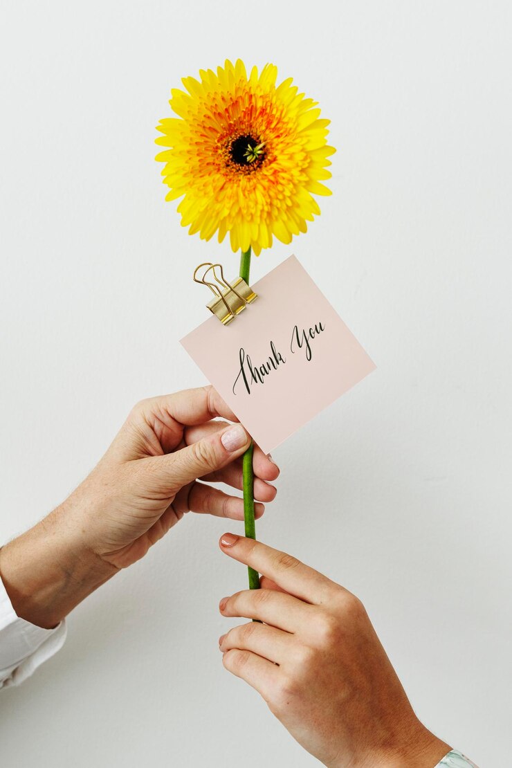 PSD mano che dà una margherita gialla di gerbera con un modello di carta