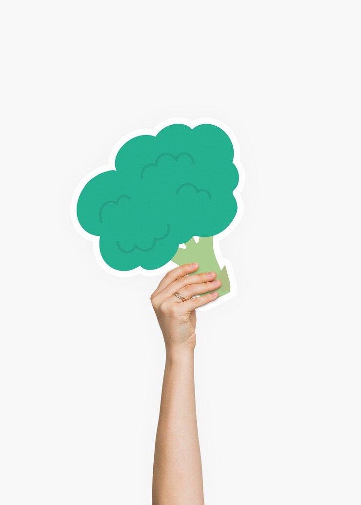 PSD mano che regge un puntello di cartone broccoli