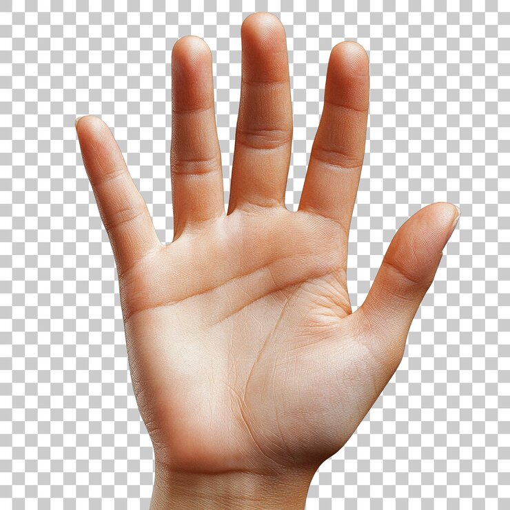 Mano con le dita spalancate e il palmo visibile isolato su uno sfondo trasparente