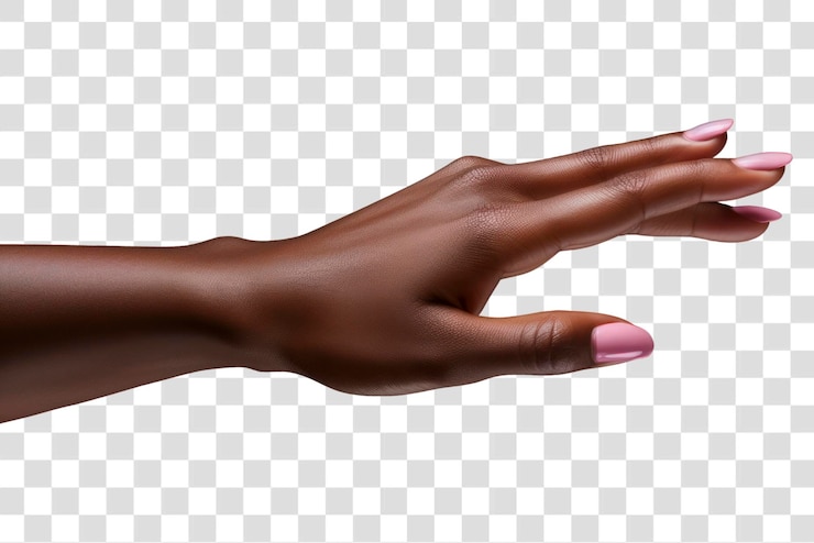 PSD la mano elegante con las uñas rosas
