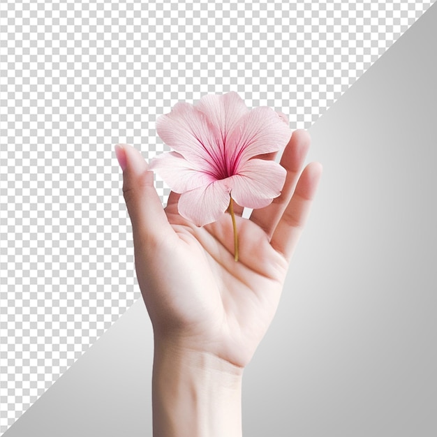 PSD la mano con la flor en png