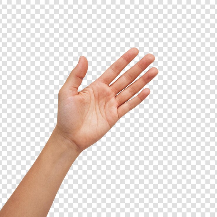 PSD una mano humana mostrando algo con la mano