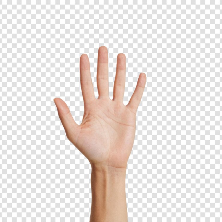 PSD una mano humana mostrando algo con la mano