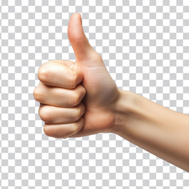 Mano levantando el pulgar en un fondo blanco para retroalimentación positiva y aprobación Representación y fondo transparente