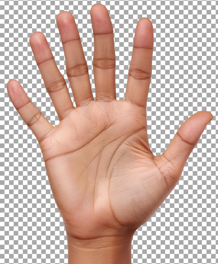 PSD la mano de la mujer abierta aislada sobre un fondo transparente