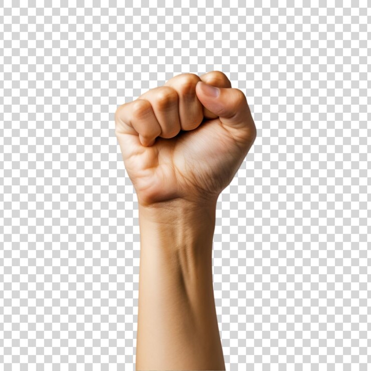 PSD una mano de solidaridad con un puño sobre un fondo transparente