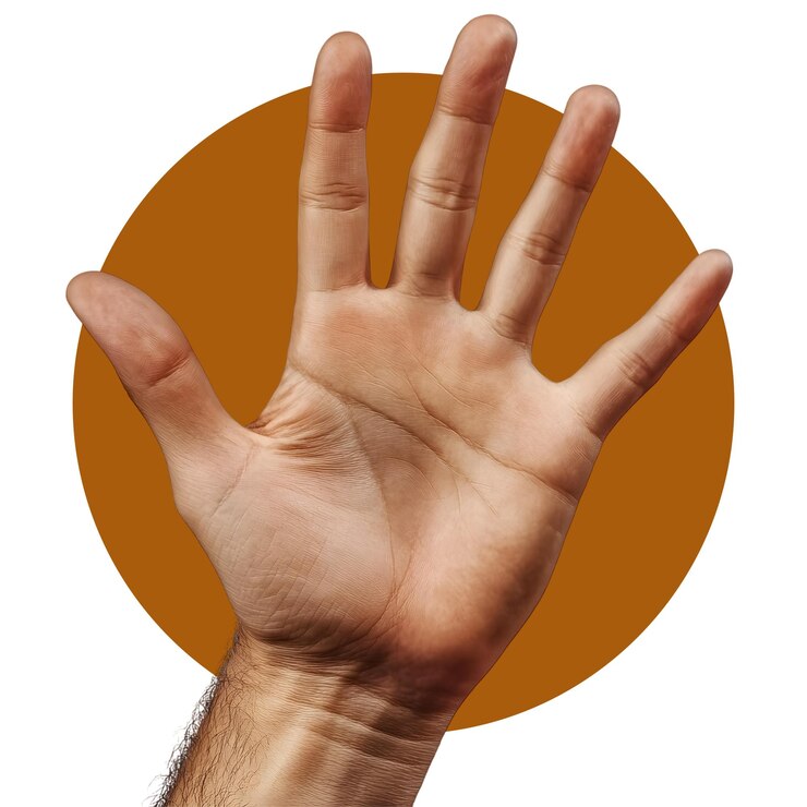 PSD mano sosteniendo algo aislado en fondo transparente mano png