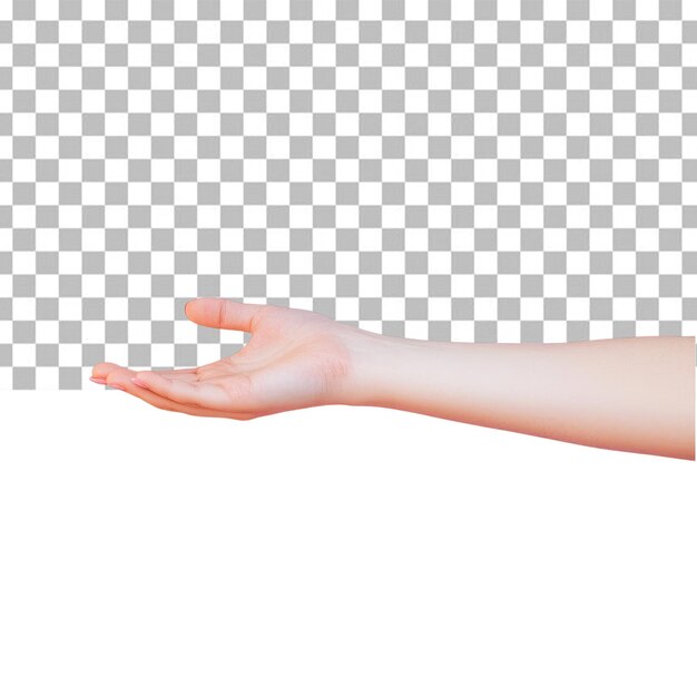 Mano sosteniendo o mostrando algo aislado en un fondo blanco Una mano con una palma abierta haciendo un gesto de parada aislado sobre un fondo blanco alfa fondo transparente png