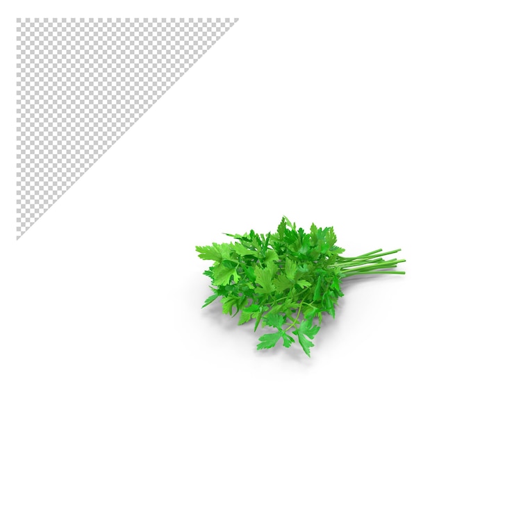 PSD manojo de hojas de perejil fresco png