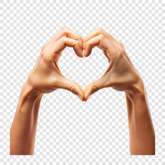 manos en forma de corazón haciendo una forma de corazón