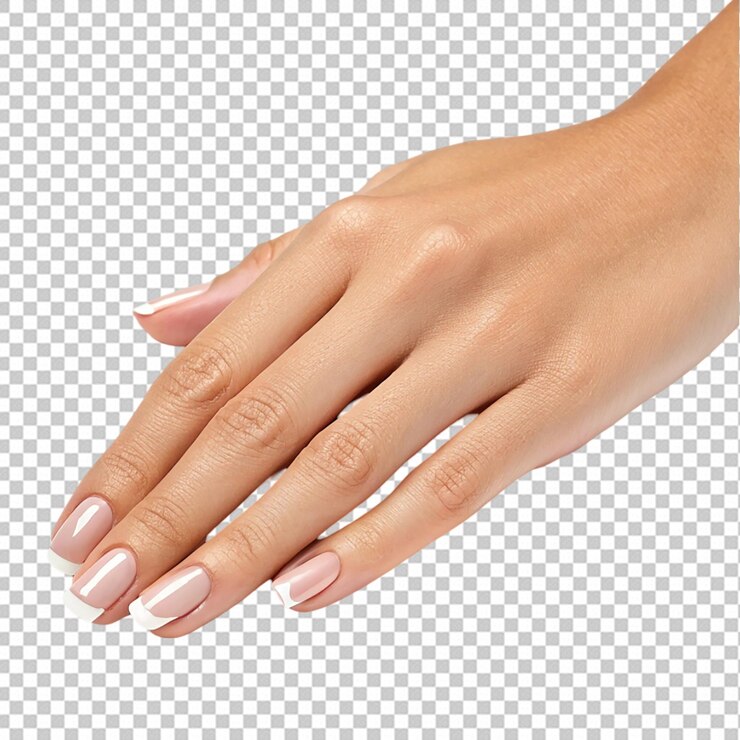 PSD manos de mujer con uñas de color rojo vino aisladas sobre un fondo blanco