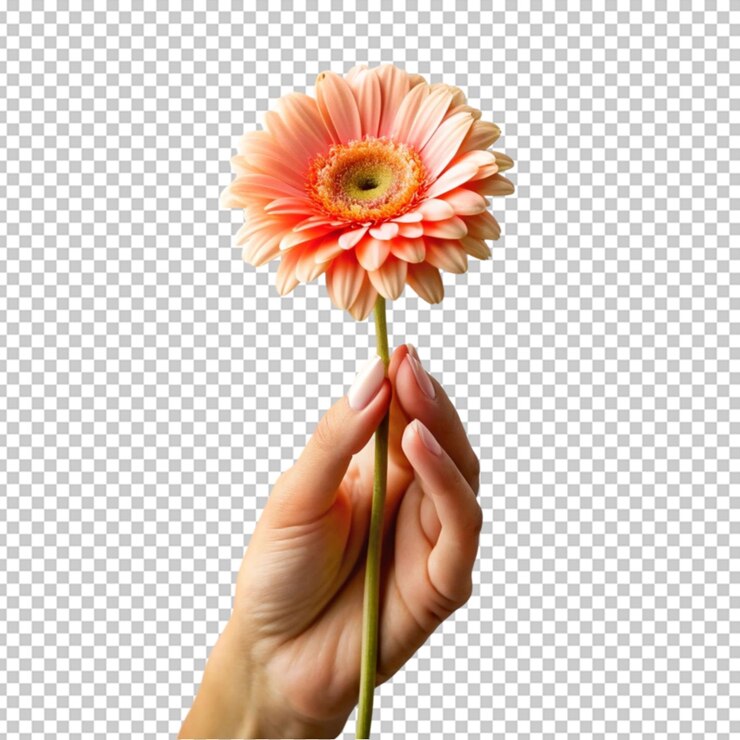 PSD las manos sosteniendo una flor