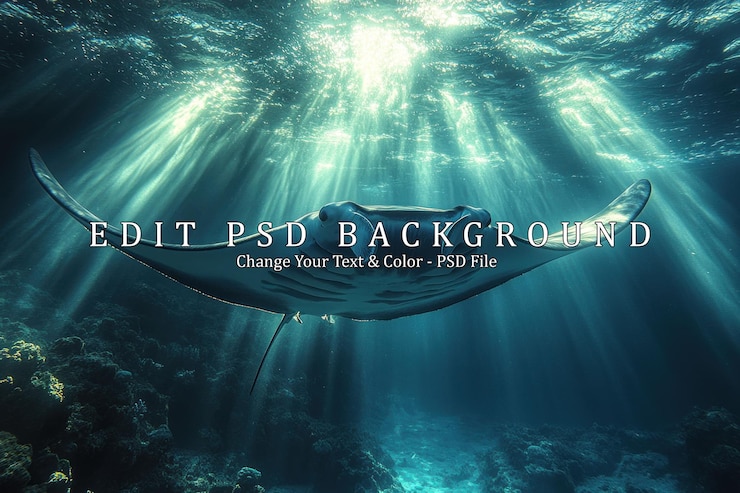PSD manta ray im ozean