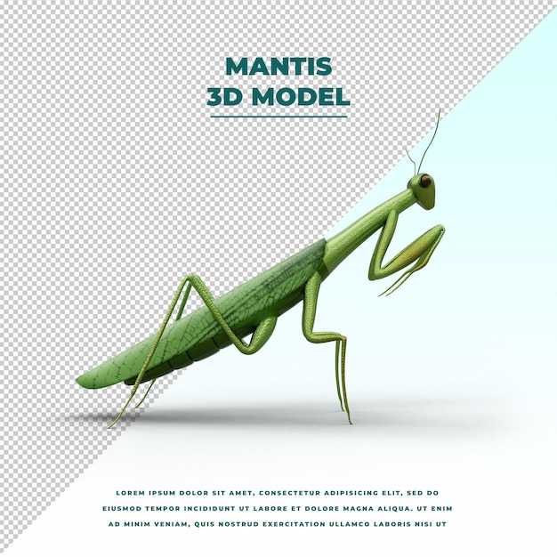 PSD mantis