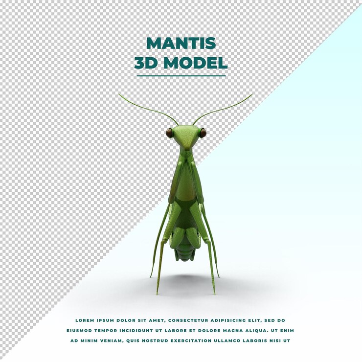 PSD mantis