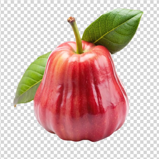 Manzana rosa aislada sobre un fondo blanco