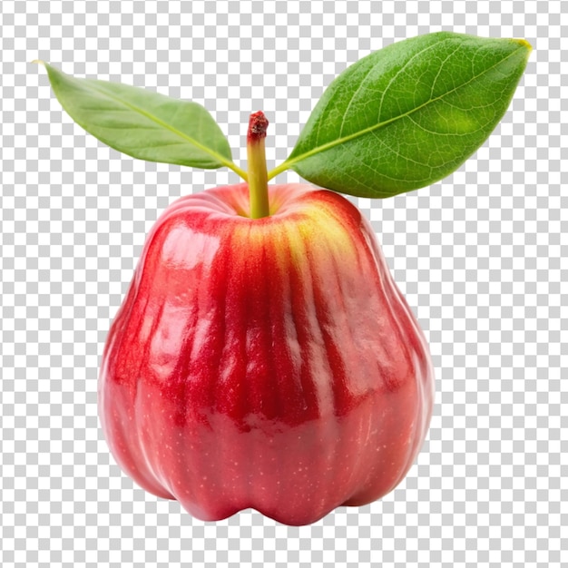 Manzana rosa aislada sobre un fondo blanco