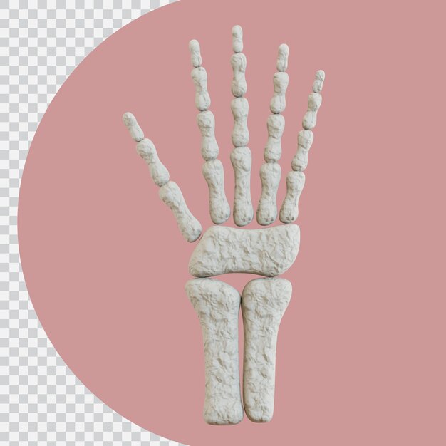Mão de esqueleto 3d