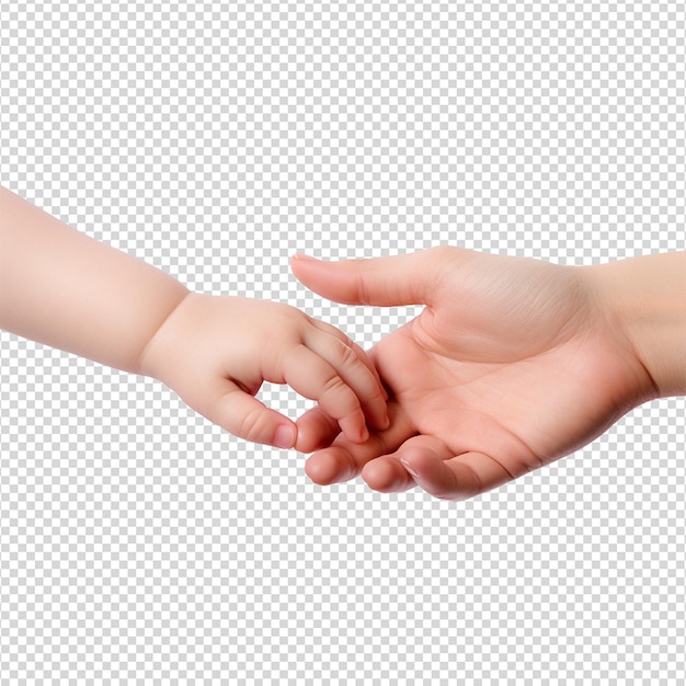 Mão segurando a mão do bebê isolada em fundo transparente