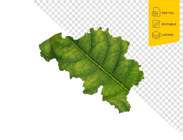 PSD mapa de bélgica hecho de hojas verdes concepto mapa ecológico hoja verde sobre fondo blanco ilustración 3d
