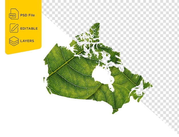 PSD mapa de canadá hecho de hojas verdes en un fondo aislado