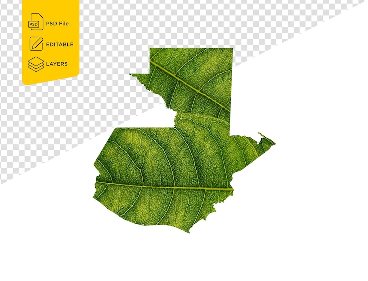 PSD mapa da guatemala feito de folhas verdes em fundo branco conceito de ecologia ilustração 3d