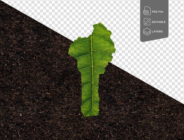 PSD mapa do benin feito de folhas verdes no solo fonte ecologia conceito ilustração 3d