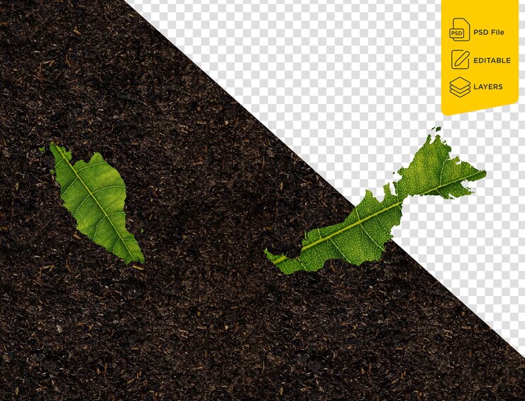 PSD mapa de malasia hecho de hojas verdes en concepto de ecología de fondo aislado