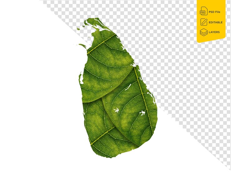 PSD mapa de sri lanka hecho de hojas verdes sobre el concepto de ecología de fondo del suelo