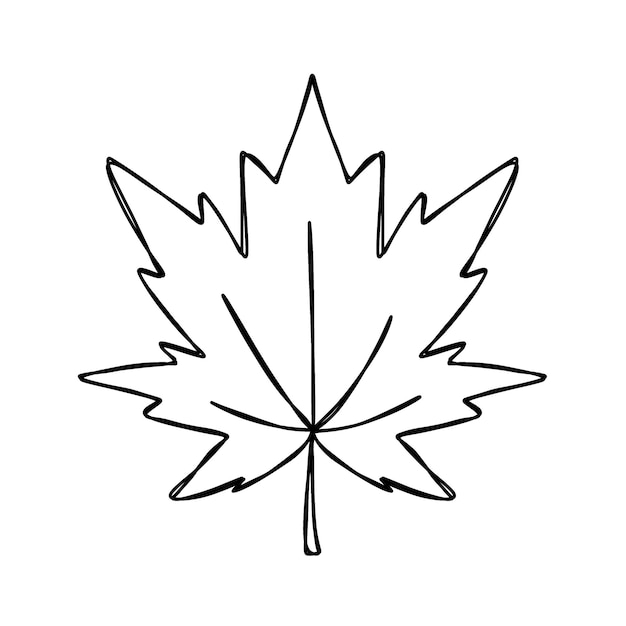 Maple leaf doodle