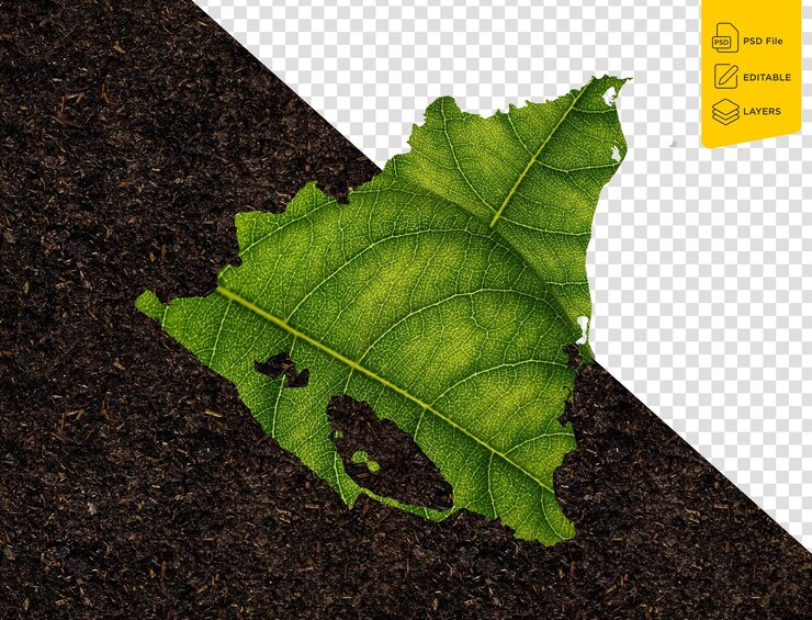 PSD mappa del nicaragua fatta di foglie verdi sul suolo sfondo ecologia concetto 3d illustrazione