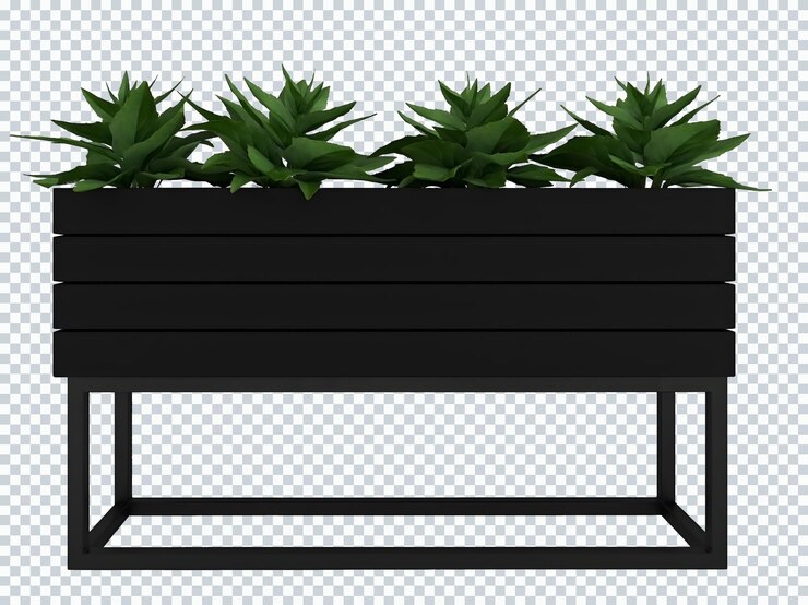 PSD maqueta de 4 plantas de serpiente en maceta cuadrada negra